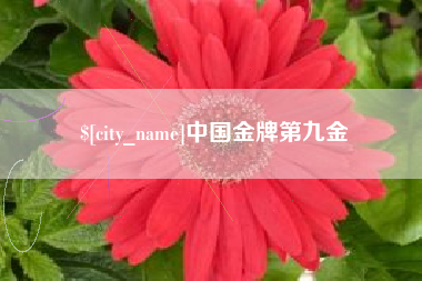 辽阳中国金牌第九金