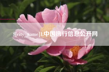 辽阳1.中国执行信息公开网