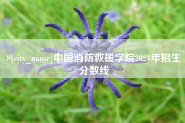 辽阳中国消防救援学院2024年招生分数线