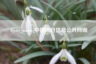 辽阳中国执行信息公开网询