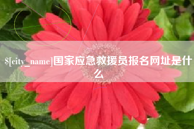 辽阳国家应急救援员报名网址是什么
