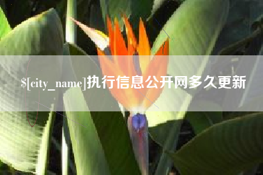 辽阳执行信息公开网多久更新