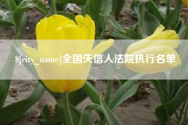 辽阳全国失信人法院执行名单