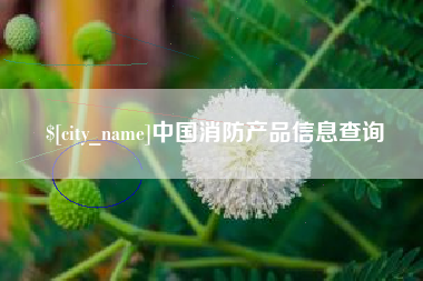 辽阳中国消防产品信息查询