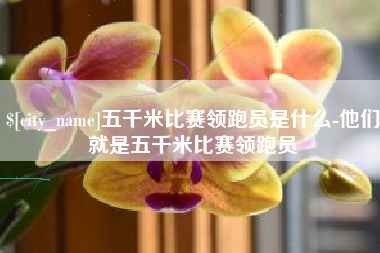 辽阳五千米比赛领跑员是什么-他们就是五千米比赛领跑员