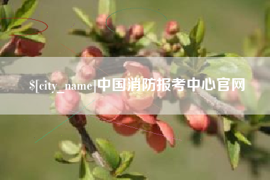 辽阳中国消防报考中心官网