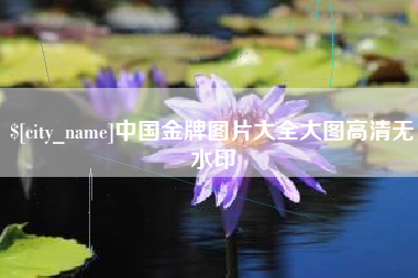 辽阳中国金牌图片大全大图高清无水印
