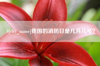 辽阳我国的消防日是几月几号？