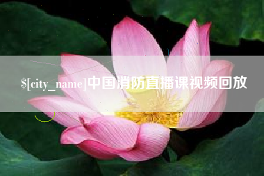 辽阳中国消防直播课视频回放