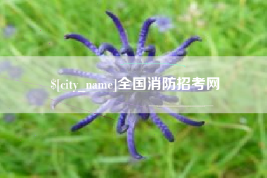 辽阳全国消防招考网