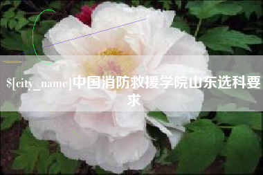 辽阳中国消防救援学院山东选科要求