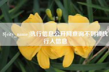 辽阳执行信息公开网查询不到被执行人信息