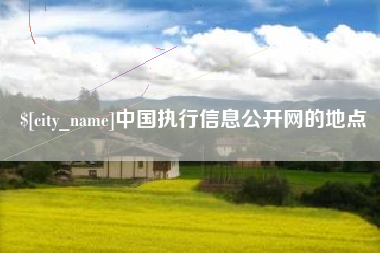 辽阳中国执行信息公开网的地点
