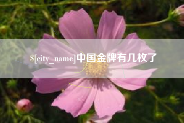 辽阳中国金牌有几枚了