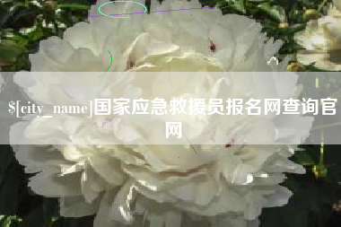 辽阳国家应急救援员报名网查询官网