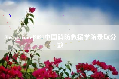 辽阳2021中国消防救援学院录取分数