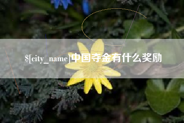 辽阳中国夺金有什么奖励