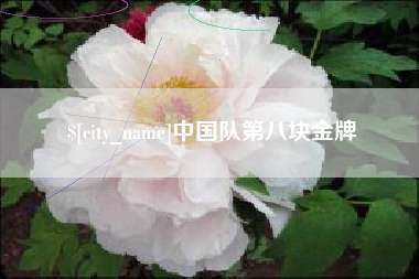 辽阳中国队第八块金牌