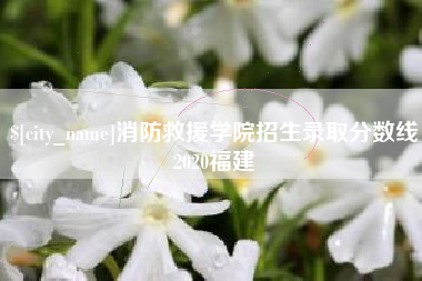 辽阳消防救援学院招生录取分数线2020福建