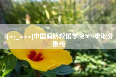 辽阳中国消防救援学院2021录取分数线