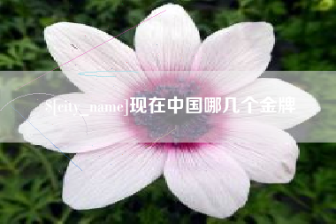 辽阳现在中国哪几个金牌