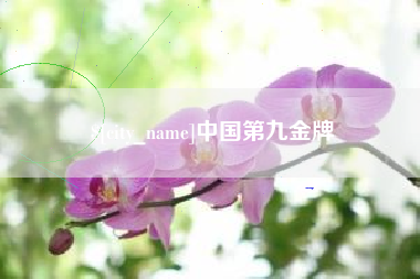 辽阳中国第九金牌
