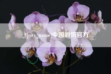 辽阳中国消防官方