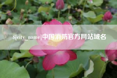 辽阳中国消防官方网站域名
