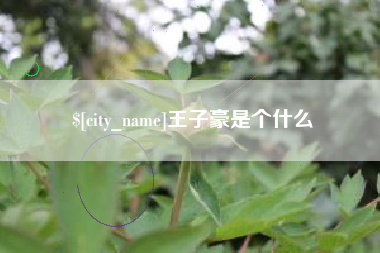 辽阳王子豪是个什么