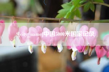 辽阳中国5000米国家记录