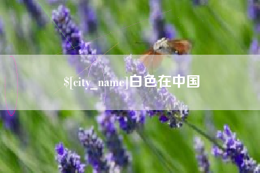辽阳白色在中国