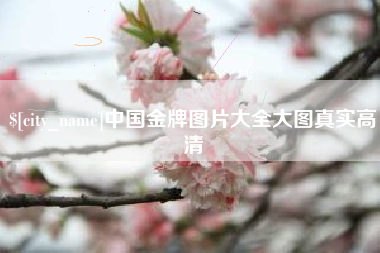 辽阳中国金牌图片大全大图真实高清