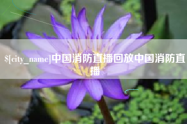 辽阳中国消防直播回放中国消防直播