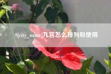 辽阳九宫怎么排列和使用