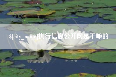 辽阳执行信息公开网是干嘛的