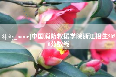辽阳中国消防救援学院浙江招生2020分数线
