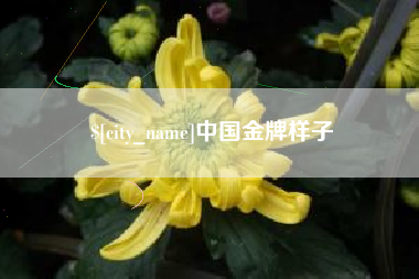 辽阳中国金牌样子