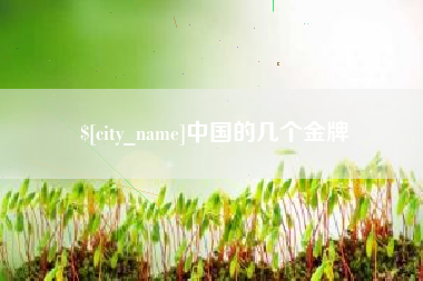辽阳中国的几个金牌