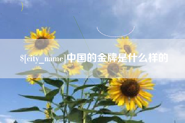 辽阳中国的金牌是什么样的