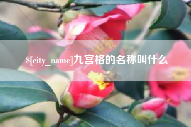 辽阳九宫格的名称叫什么