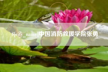 辽阳中国消防救援学院张勇