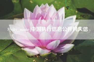 辽阳中国执行信息公开网失信