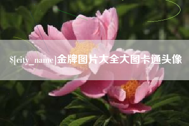 辽阳金牌图片大全大图卡通头像