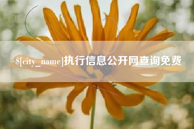 辽阳执行信息公开网查询免费