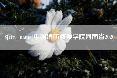 辽阳中国消防救援学院河南省2020